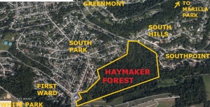 Haymaker Forest